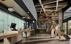 Ibis Torreon